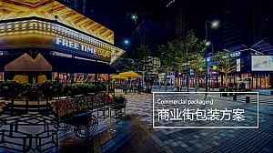 【方案】佳源商业包装方案