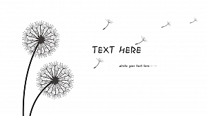 黑白色简约风蒲公英PPT模板