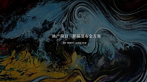 地产项目新品发布会(水无界·心伴湾主题)活动策划方案