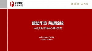 涡阳金大地·新地中心盛大开盘方案
