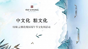 地产项目端午节文化周(中文化 粽文化主题)活动策划方案-27P