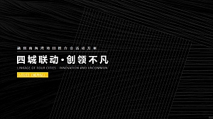地产项目(四城联动·创领不凡主题)推介会活动策划方案-48P