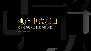 地产项目案名发布暨中式产品说明会(千年国风归一府主题)活动策划方案-47P