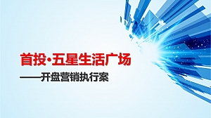 永修智慧农超开盘前年度营销方案-56P