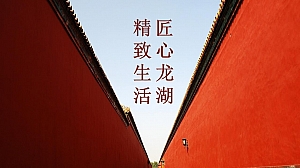 地产项目品牌暨案名发布会(匠心龙湖·精致生活主题)活动策划方案-51P