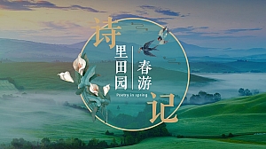 文旅项目春季(诗里田园春游记主题)活动策划方案-52P