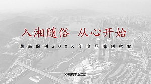 湖南保利品牌年度推广创意提案-104P