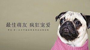 购物中心超级萌宠秀活动方案-26P