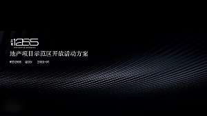 地产项目示范区开放(一线江境 外滩之光主题)活动策划方案-66P