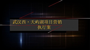 天屿湖项目全面操盘营销提案