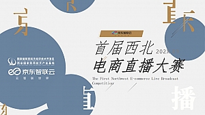 首届西北电商直播大赛(决胜202X 京东更精彩主题)活动策划方案-132P
