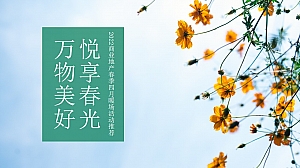 【方案】2022商业地产春季四月暖场(万物美好·悦享春光主题)手工手作DIY活动推荐方案-85P