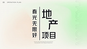 【方案】2022地产项目春季趣慢游(春光无限好主题)活动策划方案-32P