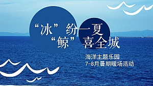 地产项目7-8月暑期暖场(“冰”纷一夏 “鲸”喜全城主题)活动策划方案-49P