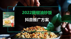 藤椒油炒饭抖音推广方案-57P