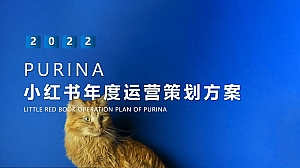 宠物食品PURINA小红书年度运营策划方案-80P