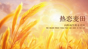 【方案】2022商业购物中心秋季热恋麦田主题IP展活动策划方案-42P