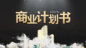 项目策划-行业通用-商务风格-黑金