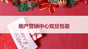 圣诞元旦包装活动方案