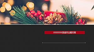 绿城柳岸晓风圣诞方案