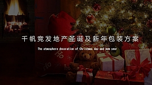 圣诞新年包装方案