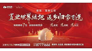 20XX年2月春节期间高端盘营销推广策略