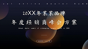 某某品牌20XX年度线上经销商峰会
