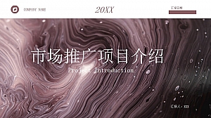 市场推广项目介绍创意PPT