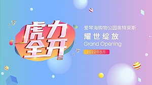 商业广场开业盛典(国潮当道 虎力全开主题)活动策划方案-36P