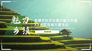 城市首届乡村文化振兴魅力乡镇竞演大赛活动策划方案-41P