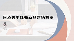洗护品牌小红书线上新品营销方案-35P