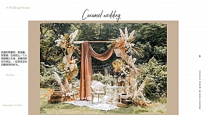 复古秋系婚礼方案