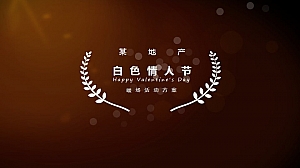 某地产白色情人节暖场活动方案