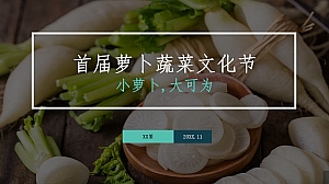 XX萝卜蔬菜文化节活动方案