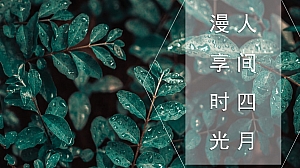 保利清明活动方案