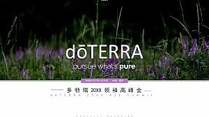 多特瑞领袖高峰会活动策划方案-99P
