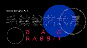 商业广场新年毛绒绒艺术展(抱抱兔主题)活动策划方案-25P