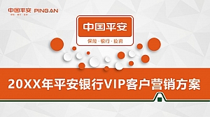 品牌银行VIP客户营销方案-42P