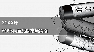 高端矿泉水品牌市场营销策略方案-90P