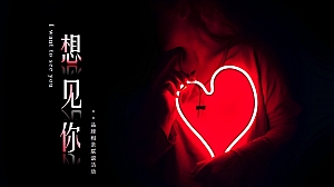 地产品牌情人节相亲联谊(想见你主题)活动策划方案-32P