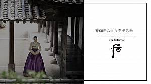 WHOO新品首发贴柜活动策划方案