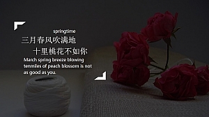 营销中心女神节活动方案