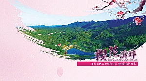 景区春季开园庆典樱花节浪漫爱情嘉年华