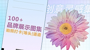 100+品牌合作展示图集