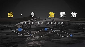 汽车团建感·享 敢释放活动策划方案