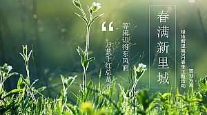 潍坊绿地新里城3月春季主题活动方案