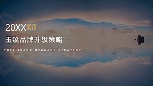 玉溪品牌升级策略方案-83P