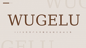 企业女神节专享圈层定制日(万千宠爱 为你而来主题)活动策划方案-25P