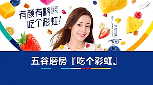 五谷磨房 x 迪丽热巴微博营销总结方案-22P