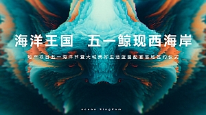 海洋王国·五一鲸现地产项目-45P